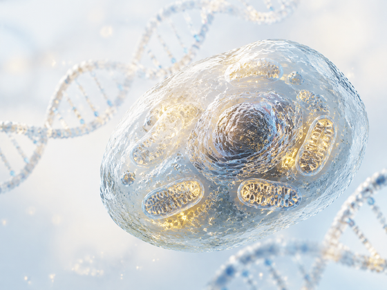 MOTS-C and SS-31: A Detailed Guide to Mitochondrial Peptide Research