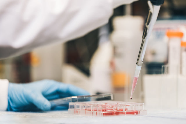 Understanding Peptides: A Scientific Overview of Their Role in Research